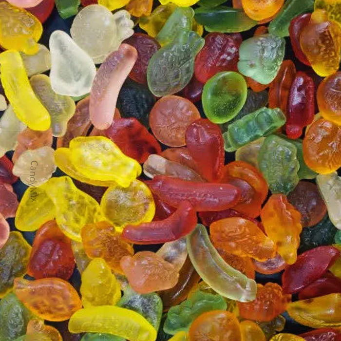 🌟 FruitGum - Bonbons sans sucre (100g) - Debron